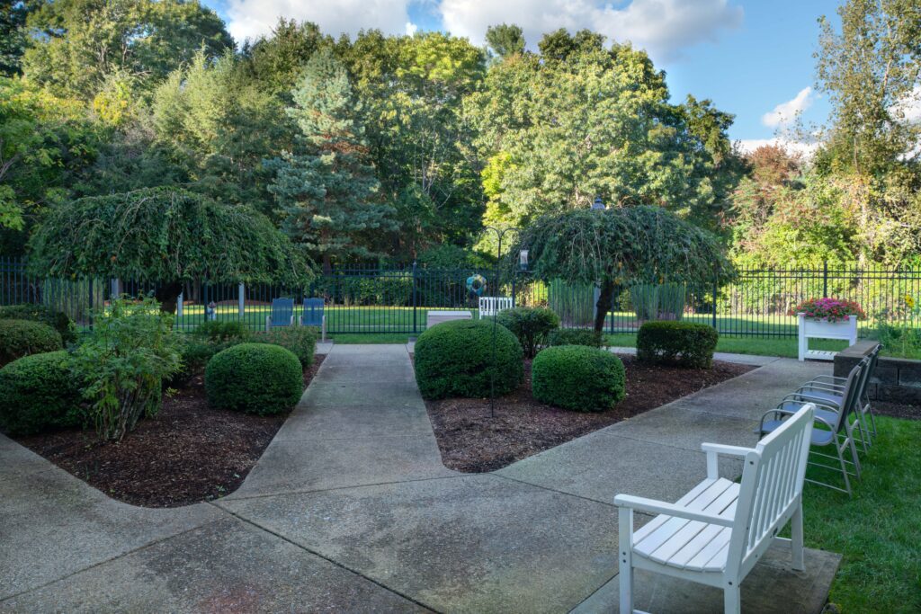 garden with benches